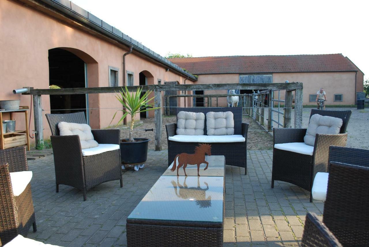 Ferienwohnung Auf Pferdehof Dreetz Ngoại thất bức ảnh